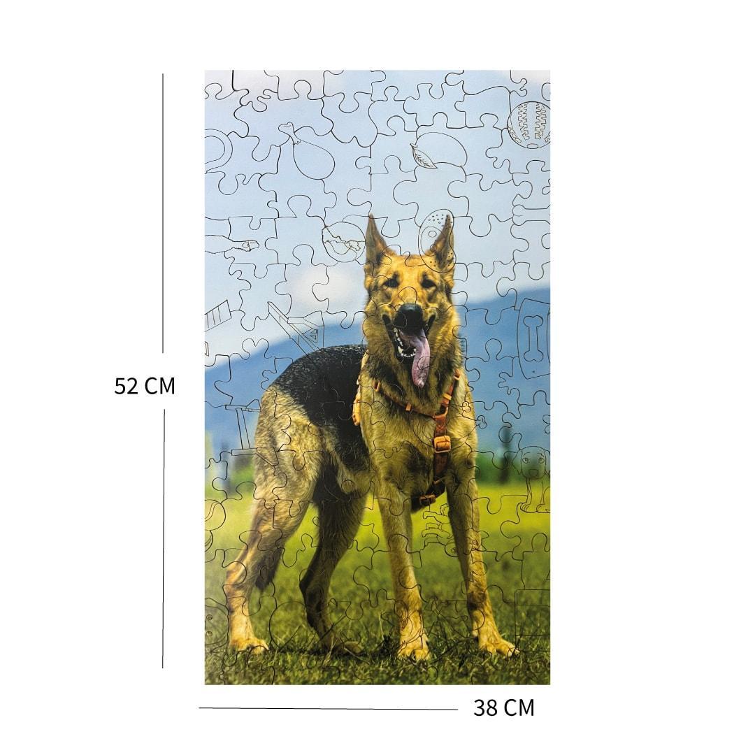 Imagen del producto 12