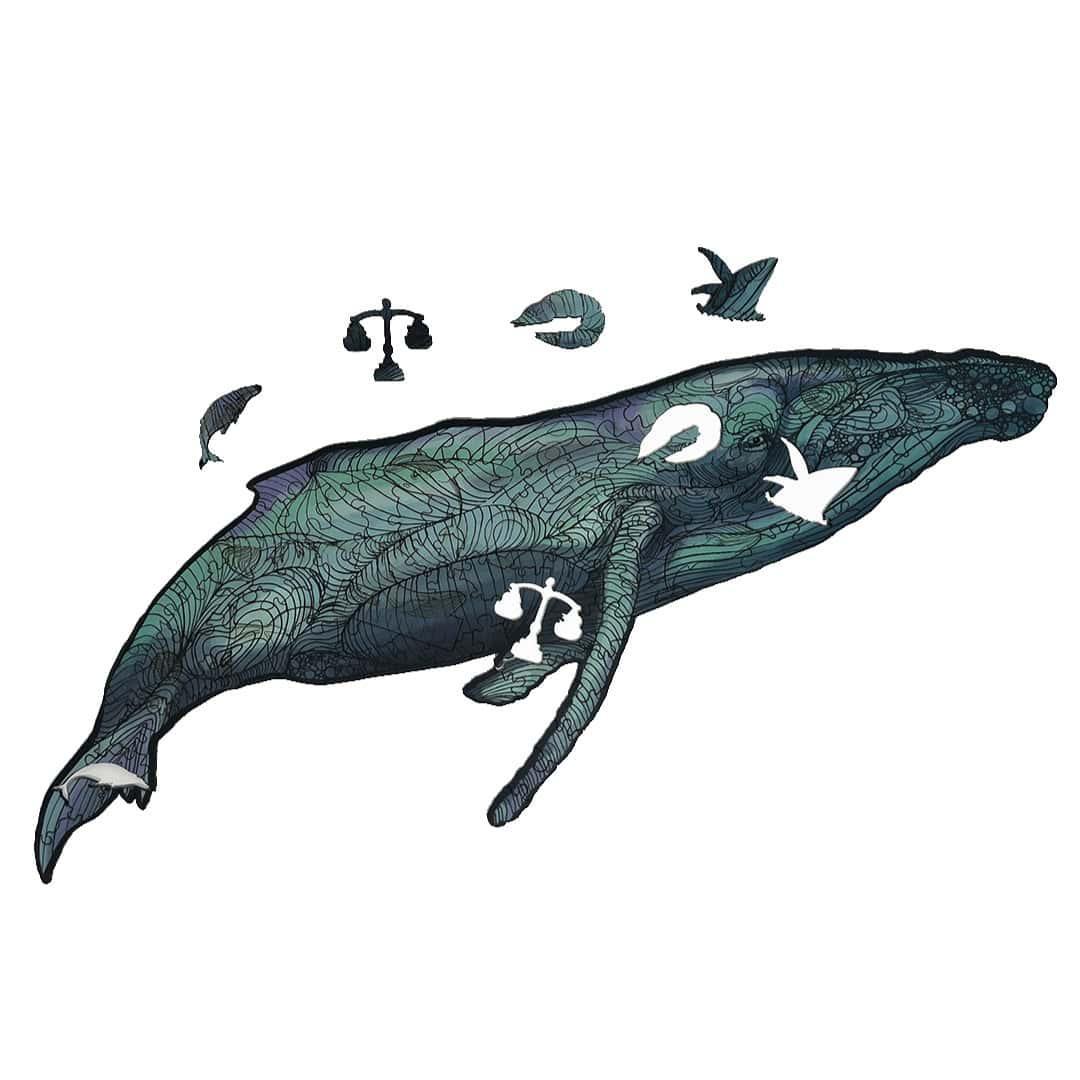 Imagen del producto 7